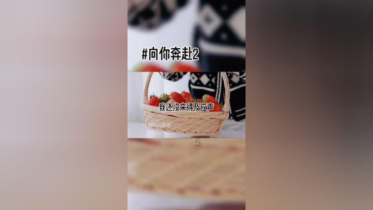 省政协委员樊丽娟：助力云南民族医药产业腾飞